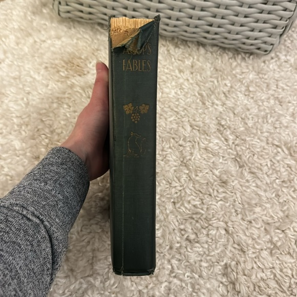 AESOP'S FABLES, hardcover, 1913 - Picture 3 of 17